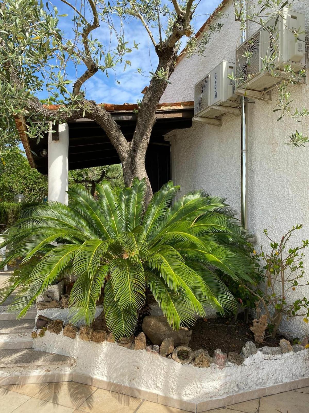 Domo Angheleda - Alghero Casa Indipendente Vicino Al Mare Экстерьер фото