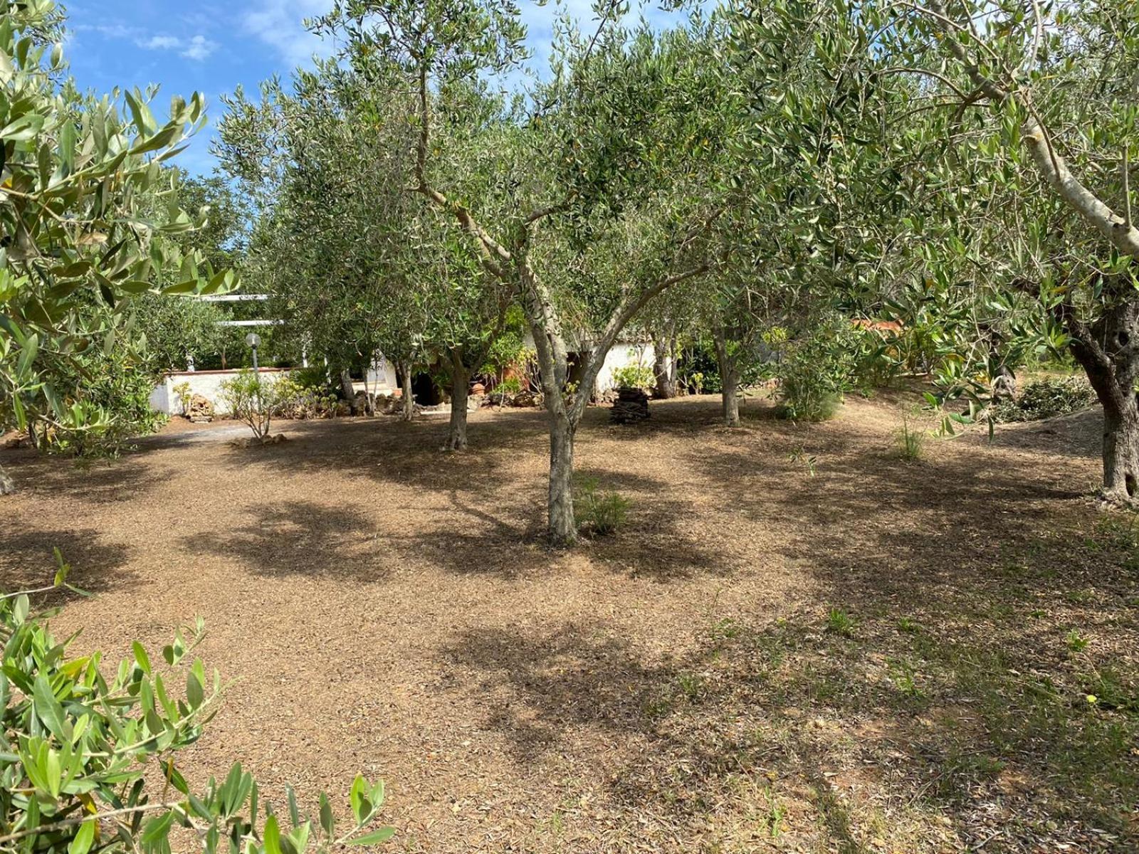 Domo Angheleda - Alghero Casa Indipendente Vicino Al Mare Экстерьер фото
